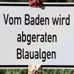 Gesundheit: Blaualgen in Talsperre Bautzen: Amt rät vom Baden ab