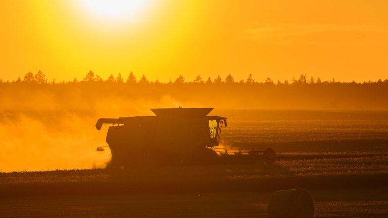 Wetter: Heißer Dienstag steht bevor - Warnungen vor extremer Hitze