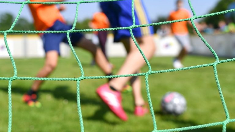 Sport: Rekord: Mehr als 4,3 Millionen sind Mitglied im Sportverein