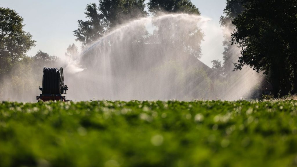 Wetter: Fast 40 Grad - NRW sucht ein bisschen Abkühlung