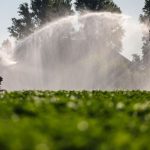 Wetter: Fast 40 Grad - NRW sucht ein bisschen Abkühlung