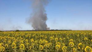 Feuer: Waldbrand in Gohrischheide - Löscharbeiten dauern an