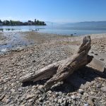 Niedrigwasser: Extrem niedrige Wasserstände - das sind mögliche Folgen