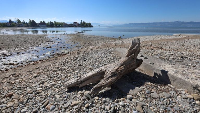 Niedrigwasser: Extrem niedrige Wasserstände - das sind mögliche Folgen