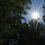 Hitzewelle: Temperaturen steigen weiter: Gute Chancen für Hitzefrei?