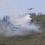 Waldbrände: Waldbrand bei Thale im Harz ausgebrochen