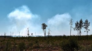 Trockenheit: Waldbrände unter Kontrolle - Evakuierung von Ortsteil vorbei