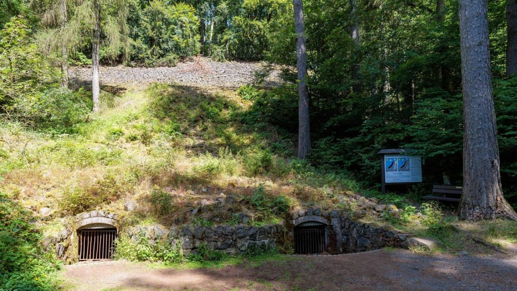 Hitze: Kühle Orte in Hessen - über und unter der Erde