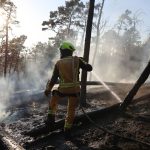 Waldbrände: Waldbrand bei Thale im Harz weitgehend gelöscht