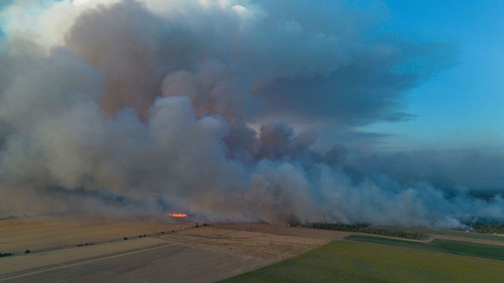 Feuer: Mehrere Waldbrände halten Feuerwehren im Osten in Atem