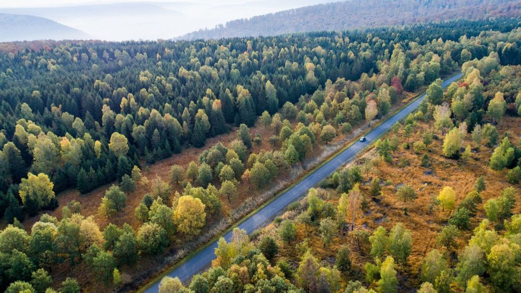 Waldbrände: Brand im Reinhardswald: Keine Hinweise auf Brandstiftung