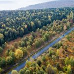 Waldbrände: Brand im Reinhardswald: Keine Hinweise auf Brandstiftung