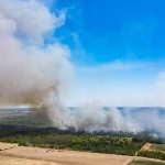 Feuer in gefährlichem Terrain: Waldbrand in Gohrischheide weitet sich über Landesgrenze aus