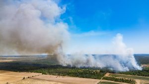 Feuer in gefährlichem Terrain: Waldbrand in Gohrischheide weitet sich über Landesgrenze aus
