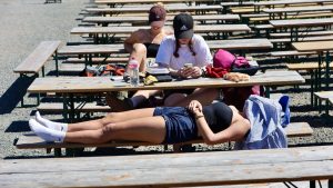 Hitzewelle: Hitzewelle heizt Deutschland bis auf 40 Grad auf
