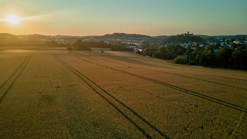 Gesundheit und Wetter: Heiß, heißer, Notaufnahme? Rheinland-Pfalz schwitzt