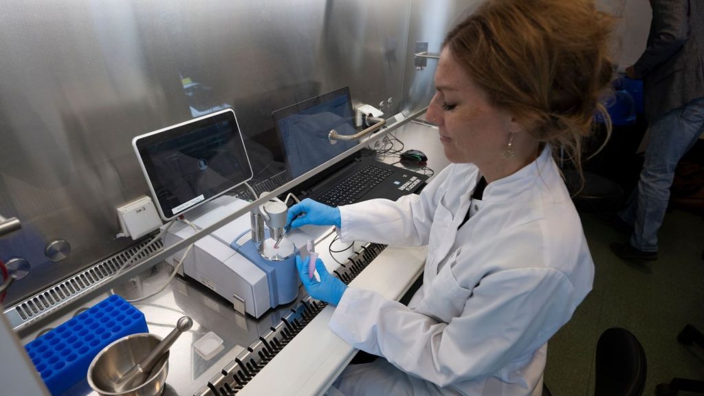 Modellprojekt: Hochreines Kokain auf der Fusion bringt Menschen in Klinik