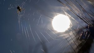 Hitzewelle: BRK rät zu Vorsicht bei großer Hitze