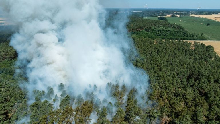 Feuerwehreinsätze: Über 200 Waldbrände in Brandenburg seit März - neue Feuer
