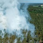 Feuerwehreinsätze: Erneut Waldbrände in Brandenburg ausgebrochen