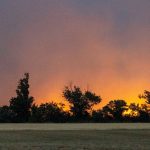 Sachsen und Brandenburg: Waldbrand in Gohrischheide - Evakuierung in weiterem Ort