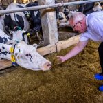 Klimaschutz: Molkereigenossenschaft honoriert Klimaschutz durch Bauern