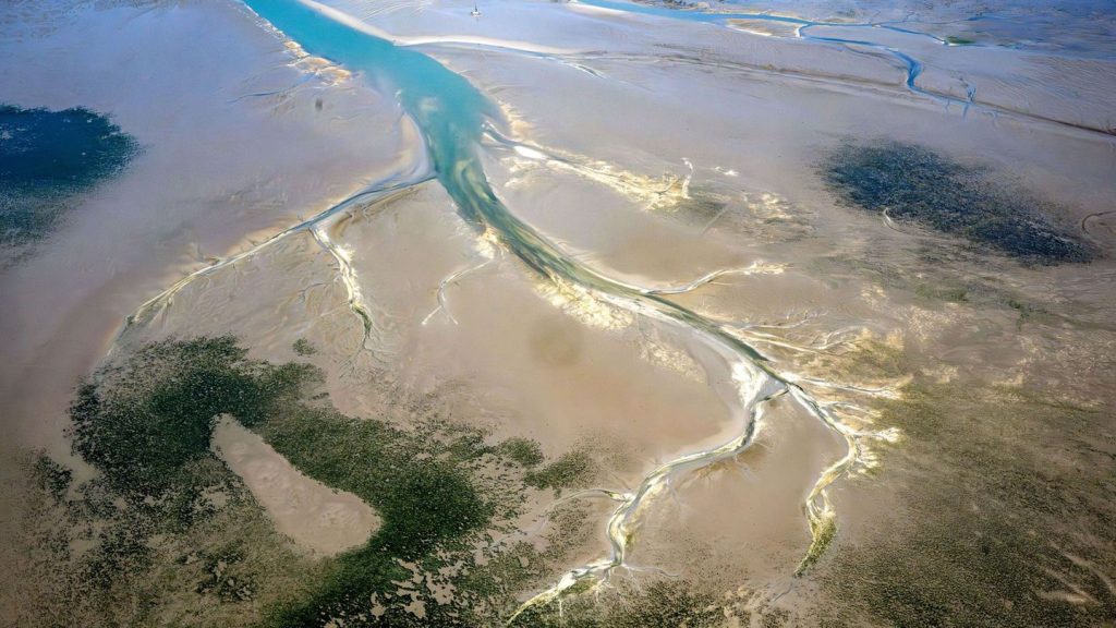 Sinkende Bestände: Studie: Wie verändert sich das Wattenmeer?