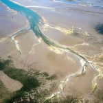 Sinkende Bestände: Studie: Wie verändert sich das Wattenmeer?