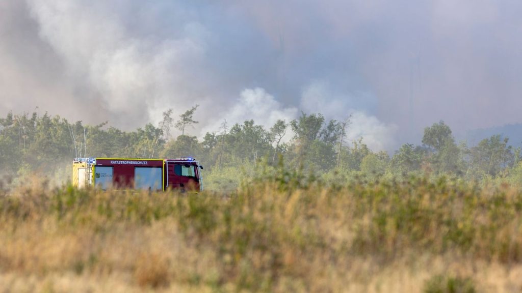 Feuer: Waldbrand in Gohrischheide - Löscharbeiten gehen weiter
