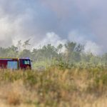 Feuer: Waldbrand in Gohrischheide - Löscharbeiten gehen weiter