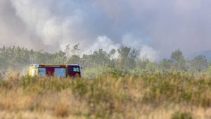 Feuer: Waldbrand in Gohrischheide - Löscharbeiten gehen weiter