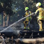 Waldbrände: Waldbrand bei Thale im Harz noch immer nicht gelöscht
