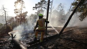 Waldbrände: Waldbrand in Thale im Harz weitgehend gelöscht
