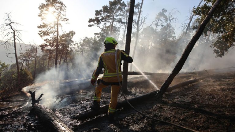 Waldbrände: Waldbrand in Thale im Harz weitgehend gelöscht