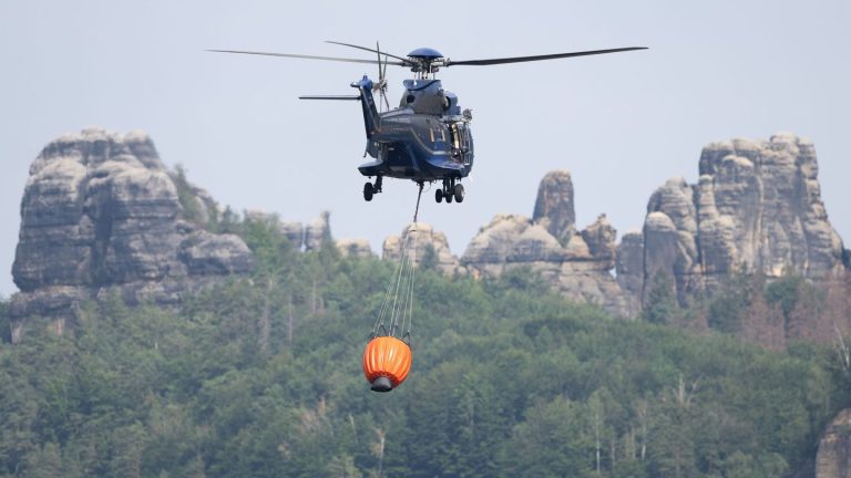Feuergefahr: Sachsen rüstet sich für Bekämpfung von Waldbränden