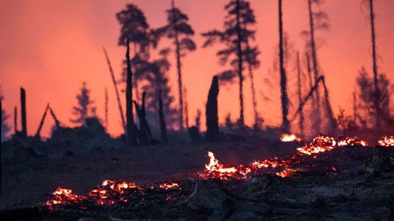 Waldbrände: Waldbrand auf Saalfelder Höhe - Landkreise warnen vor Rauch