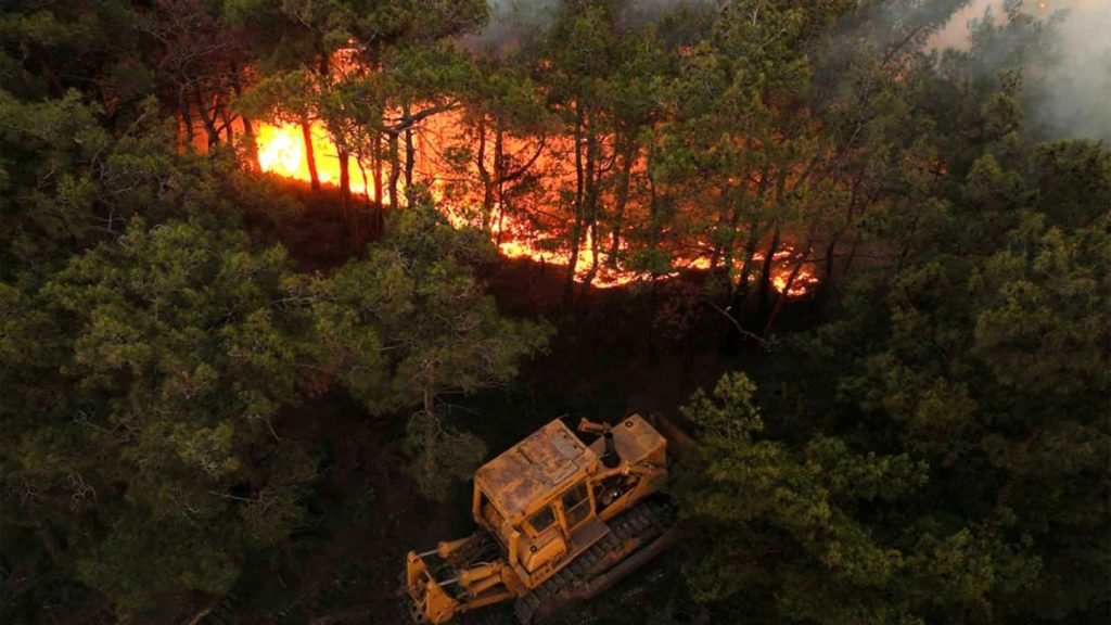 Waldbrände in syrischer Küstenregion Latakia - Minen erschweren Löscharbeiten