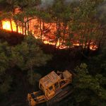 Waldbrände in syrischer Küstenregion Latakia - Minen erschweren Löscharbeiten