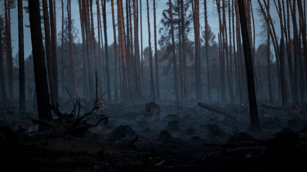 Waldbrände: Keine Ausweitung bei Waldbrand auf der Saalfelder Höhe
