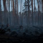 Waldbrände: Keine Ausweitung bei Waldbrand auf der Saalfelder Höhe