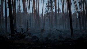 Waldbrände: Keine Ausweitung bei Waldbrand auf der Saalfelder Höhe