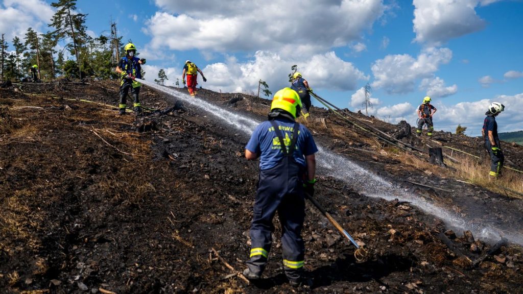 Waldbrände: Ausbreitung des Waldbrandes über Nacht verhindert