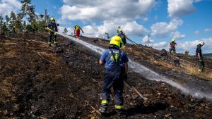 Waldbrände: Ausbreitung des Waldbrandes über Nacht verhindert
