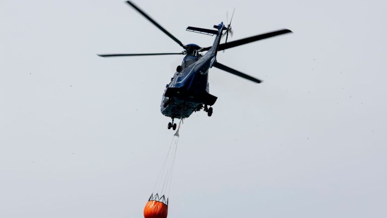 Waldbrände: Waldbrände im Osten: Brandgeruch bis nach Berlin