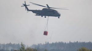 Waldbrand: Brand in der Gohrischheide - Löscharbeiten gehen weiter