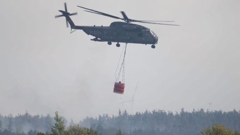 Waldbrand: Brand in der Gohrischheide - Löscharbeiten gehen weiter
