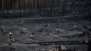 Saalfelder Höhe: "Das ist Übermenschliches" - Waldbrand fordert Helfer heraus
