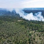 Waldbrand: Satellitenbilder sollen Ausmaß des Waldbrandes zeigen