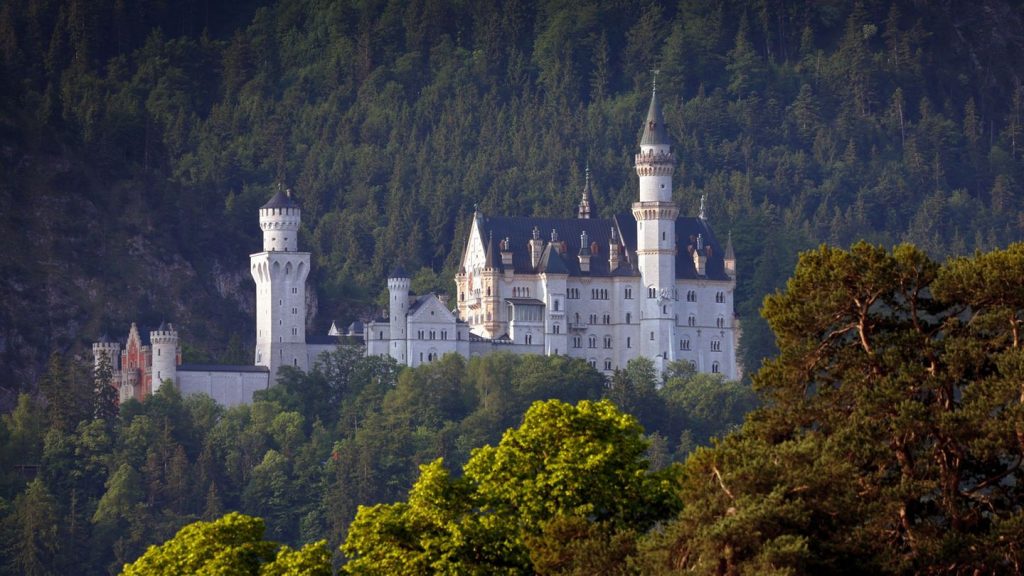Schwaben: Frau sperrt Hund am Schloss Neuschwanstein in Schließfach