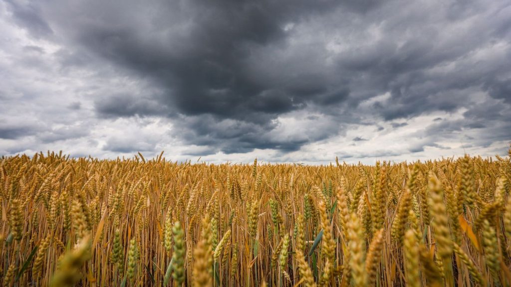 Wetter: Sommerpause - Kühlere Tage und Nächte im Südwesten